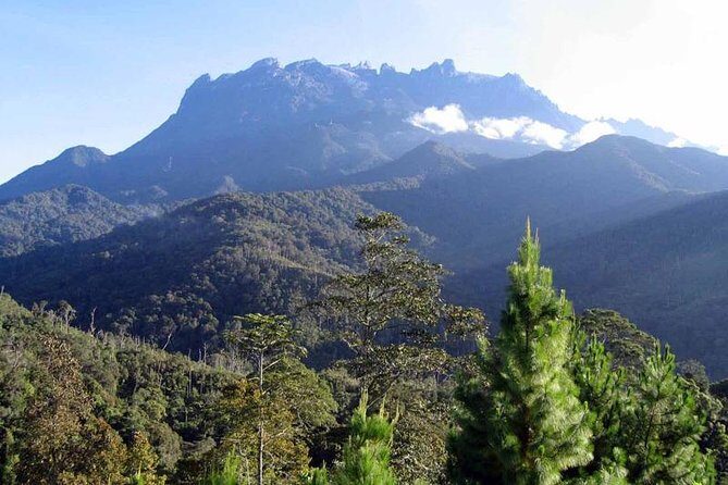 Kinabalu Park & Poring Hot Spring Tour - Morning Hopping: Hotel Pickup, Nabalu Market, and Getting Oriented