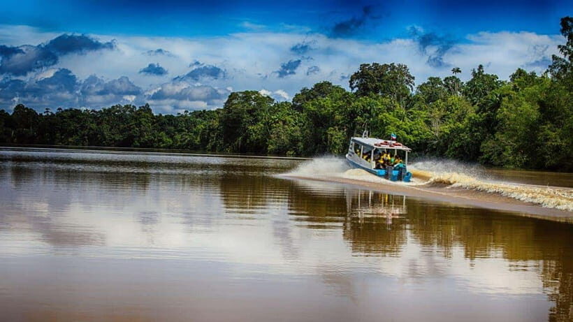 Kinabatangan River Trip from Sandakan with Lunch Included - Key highlights worth your attention
