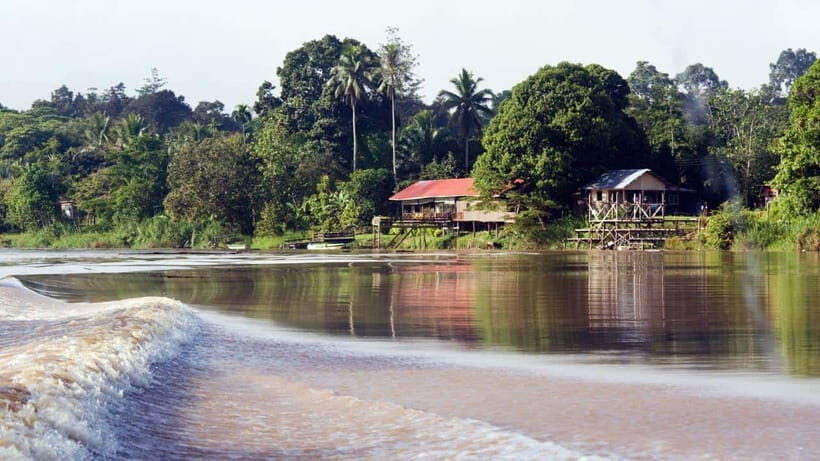 Kinabatangan River Trip from Sandakan with Lunch Included - Guide quality: information that makes the sights click