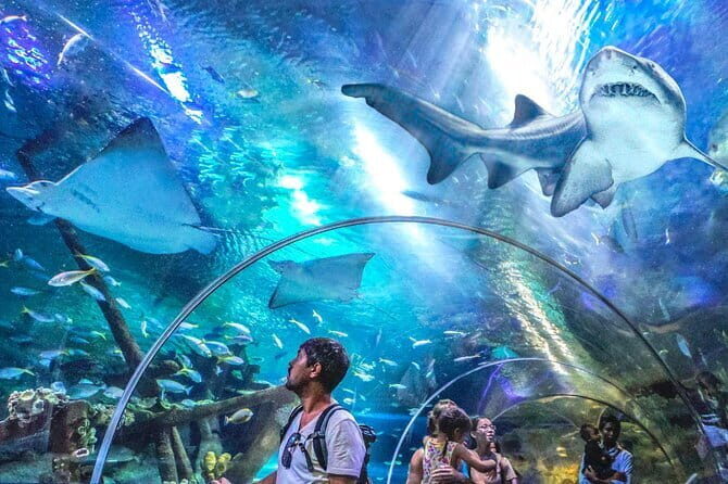 KL Hop-On Hop-Off Sightseeing Bus Pass (24/48 Hours) - Green Line garden route: museums, mosques, parks, and big squares
