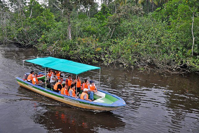 Klias Wildlife Safari River Cruise - Proboscis Monkey & Fireflies - Who this Klias Wildlife cruise fits best