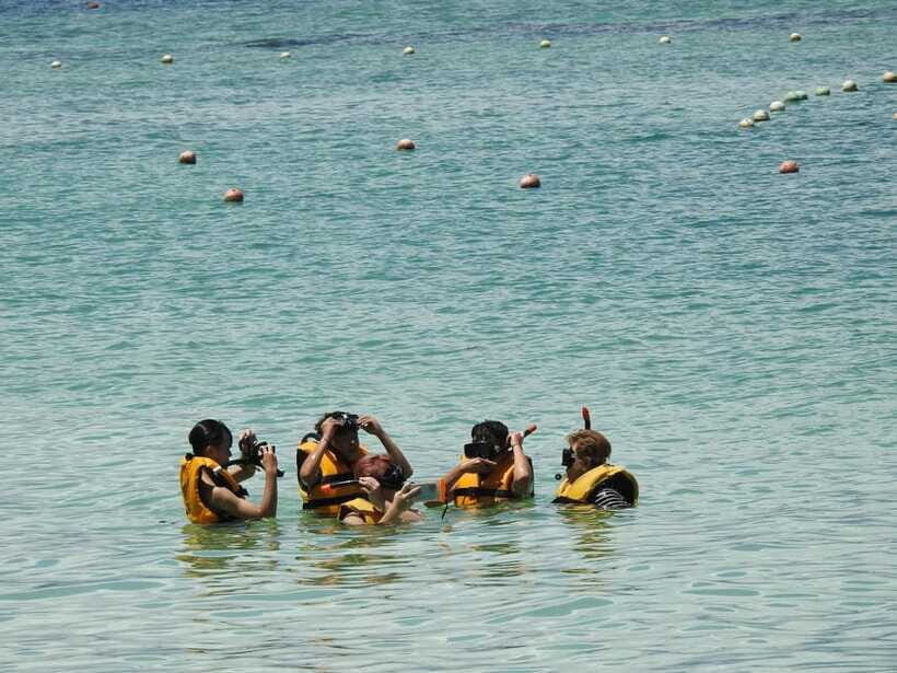 Kota Kinabalu: Island Hopping with Snorkeling & Meal - Crowds, coral condition, and how to protect your enjoyment