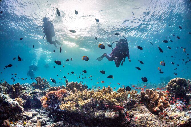 Kota Kinabalu Leisure Scuba Diving Trip (3 Dives) - Jesselton Point Check-In: A Schedule That Actually Makes Sense