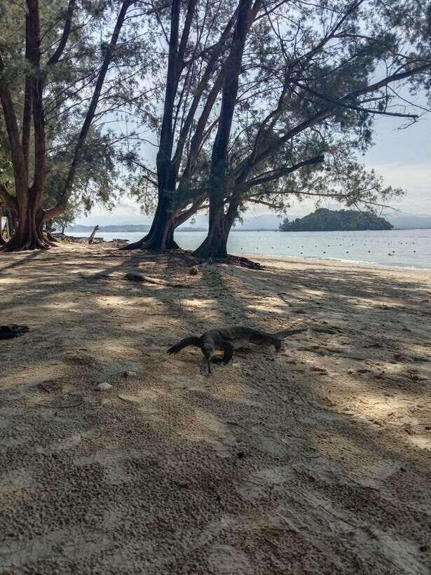 Kota Kinabalu: Manukan & Sapi Islands Snorkeling with Lunch - Optional watersports: what costs extra and what you should plan for