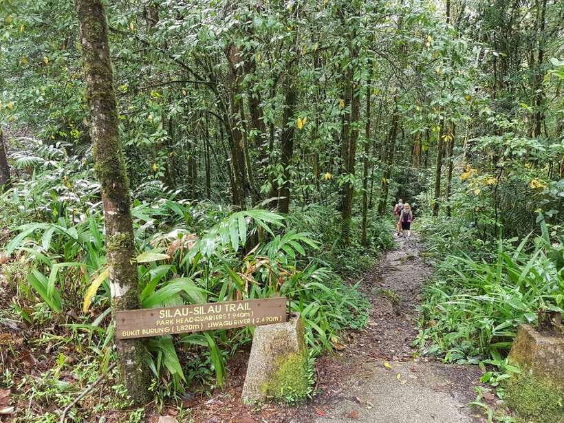 Kota Kinabalu: Private Kundasang and Poring Hot Spring Tour - Kinabalu Park botanical walks and the hanging-bridge feeling