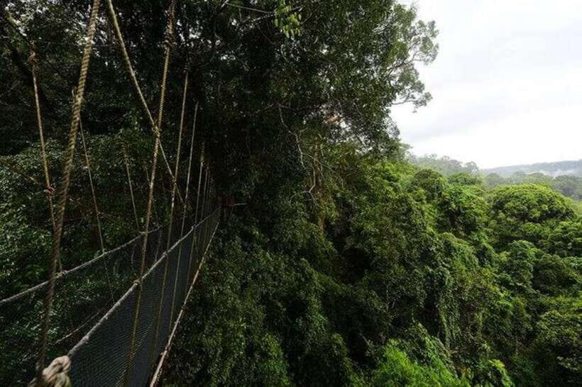 Kota Kinabalu: Private Kundasang and Poring Hot Spring Tour - Silau-Silau vs Sibau-Sibau: why the trail choice affects your comfort