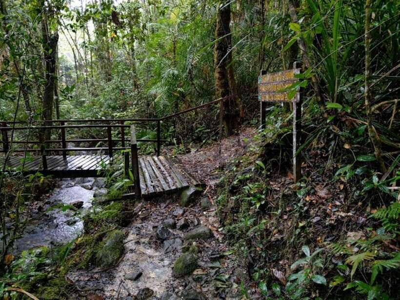Kota Kinabalu: Private Kundasang and Poring Hot Spring Tour - A private guide can make or break the day