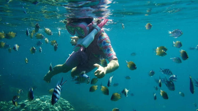 Kota Kinabalu : Snorkeling at Ara Dinawan Private Island - Price and value at about $110: is it worth it for your travel style?