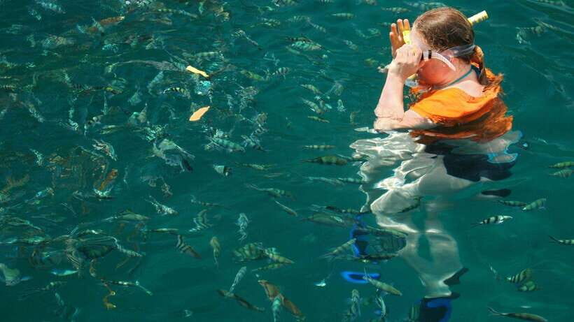 Kota Kinabalu: Snorkeling & Island Hopping Sapi & Manukan - Price and value: why $71 can feel fair when you add up the extras