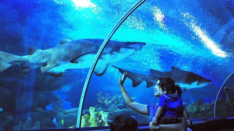 Kuala Lumpur: Aquaria KLCC Entry Ticket - Key highlights I’d plan around