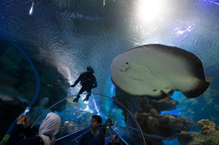 Kuala Lumpur: Aquaria KLCC Entry Ticket - Who should book Aquaria KLCC, and who might skip
