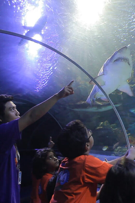 Kuala Lumpur: Aquaria KLCC Entry Ticket - Aquaria KLCC Under the Twin Towers: the setting that matters