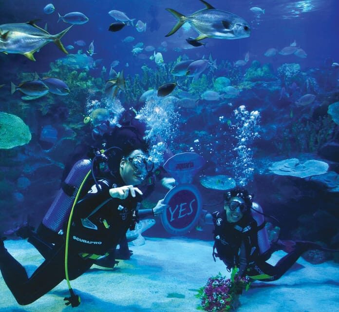 Kuala Lumpur: Aquaria KLCC Entry Ticket - Inside the oceanarium: what you’ll actually see