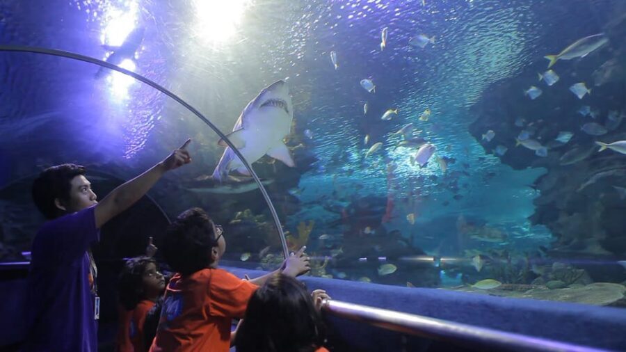 Kuala Lumpur: Aquaria KLCC Entry Ticket - The 90m underwater tunnel: the main event