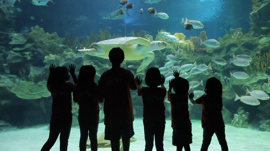 Kuala Lumpur: Aquaria KLCC Entry Ticket - Staff, signage, and the overall vibe