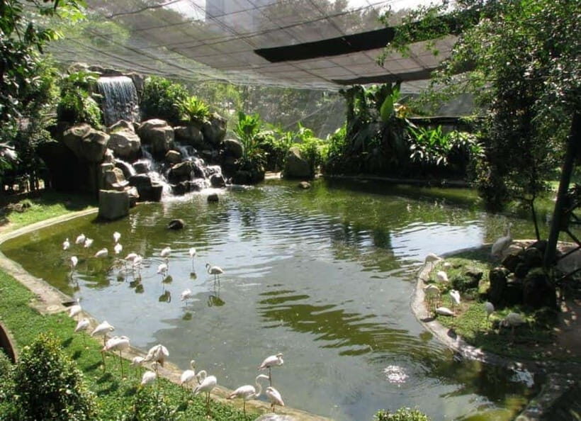 Kuala Lumpur: Bird Park, Butterfly & Garden Private Tour - Key highlights to look for