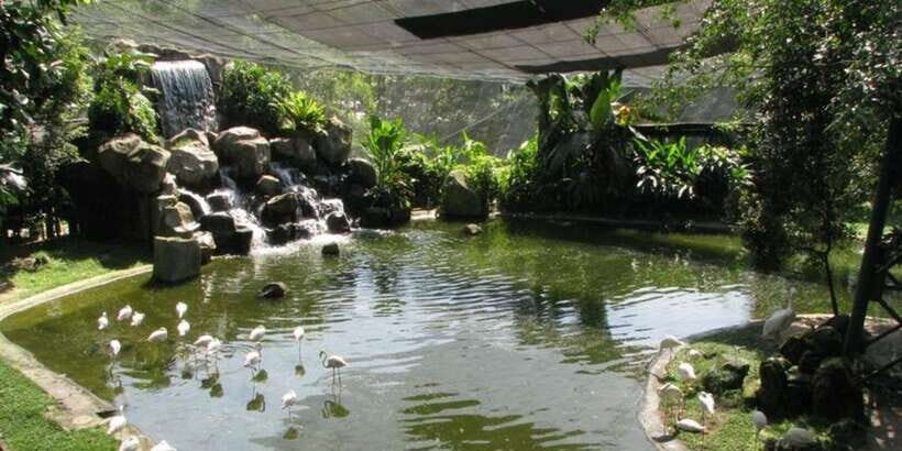 Kuala Lumpur: Bird Park, Butterfly & Garden Private Tour - Price and value: what you’re paying for at $79 per person