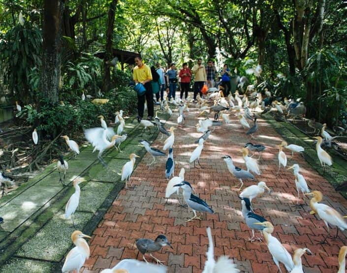Kuala Lumpur: Bird Park, Butterfly & Garden Private Tour - Pickup at Chow Kit, Bukit Bintang, KL City Centre, or Brickfields