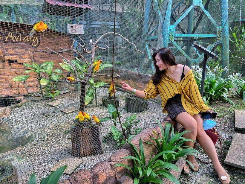 Kuala Lumpur: Bird Park Day Ticket & 1-Way Transfer - Zone 4 mini-aviaries: A different kind of bird viewing