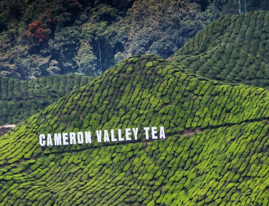 Kuala Lumpur: Customize Your Cameron Highlands Itinerary - The BOH Habu View Point and Cameron Bharat Photo Stop