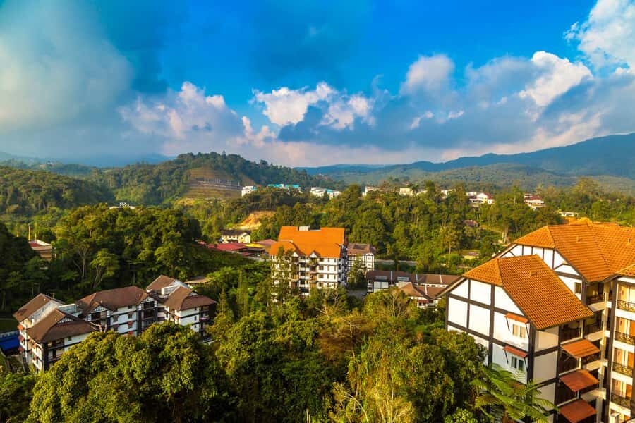 Kuala Lumpur: Customize Your Cameron Highlands Itinerary - Price and Value for a Group of Up to 3