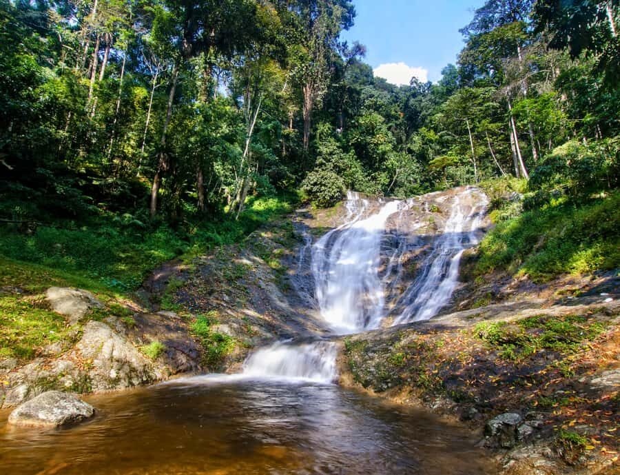 Kuala Lumpur: Customize Your Cameron Highlands Itinerary - BOH Habu Tea Centre and Factory Tour: Tea Tasting With Real Purpose