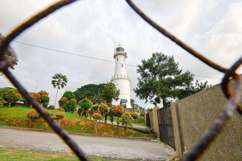 Kuala Lumpur: Fireflies & Blue Tears Tour with Seafood Meal - The fireflies cruise in Kuala Selangor: what to look for