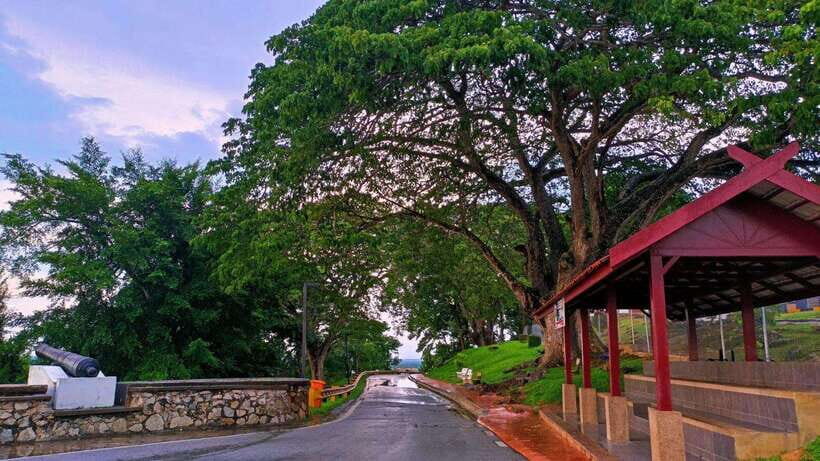 Kuala Lumpur: Fireflies & Blue Tears Tour with Seafood Meal - Final verdict: should you book this Kuala Selangor Fireflies & Blue Tears tour?