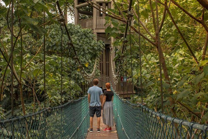 Kuala Lumpur Instagram Tour Most Famous Spots - Batu Caves: Golden Lord Murugan and the Staircase Photo