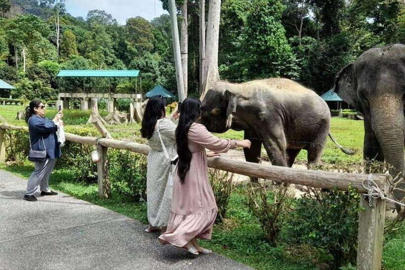 Kuala Lumpur: Kuala Gandah and Batu Caves Private Trip - How the private format changes the Kuala Lumpur day