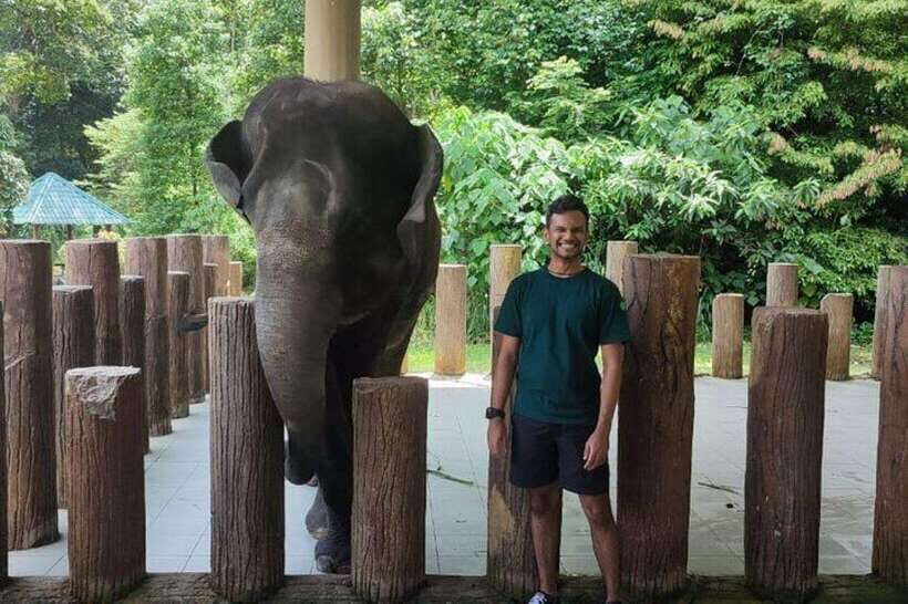 Kuala Lumpur: Kuala Gandah and Batu Caves Private Trip - Who this private Kuala Gandah and Batu Caves trip suits best