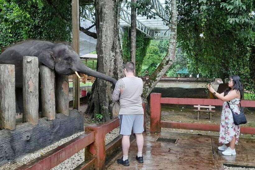 Kuala Lumpur: Kuala Gandah and Batu Caves Private Trip - Final verdict: should you book?