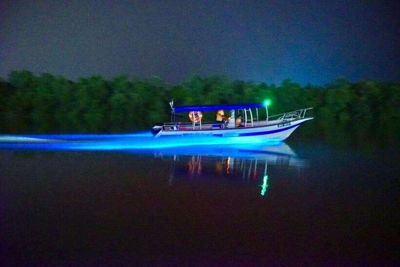 Kuala Lumpur: Kuala Selangor Fireflies and Blue Tears Tour - Leaving Kuala Lumpur for Kuala Selangor at night