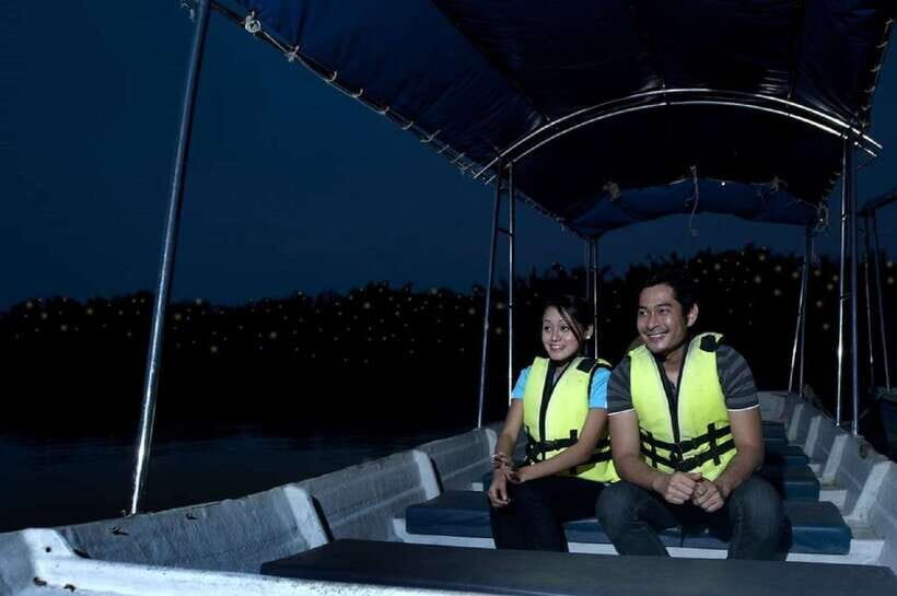 Kuala Lumpur: Kuala Selangor Firefly Tour and Dinner - The firefly show in Kuala Selangor: why it’s not just another night tour