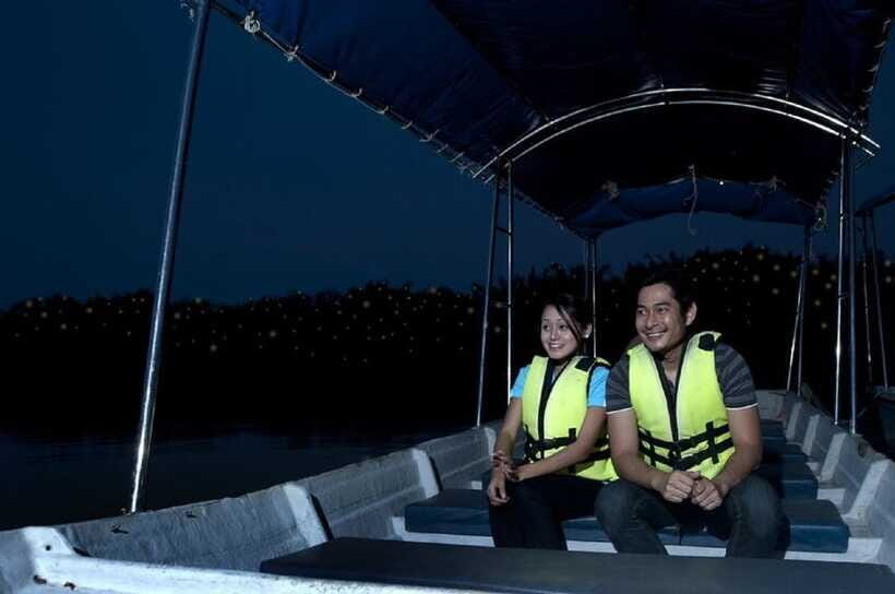 Kuala Lumpur: Kuala Selangor Firefly Tour and Dinner - Who should book this tour, and who might prefer something else