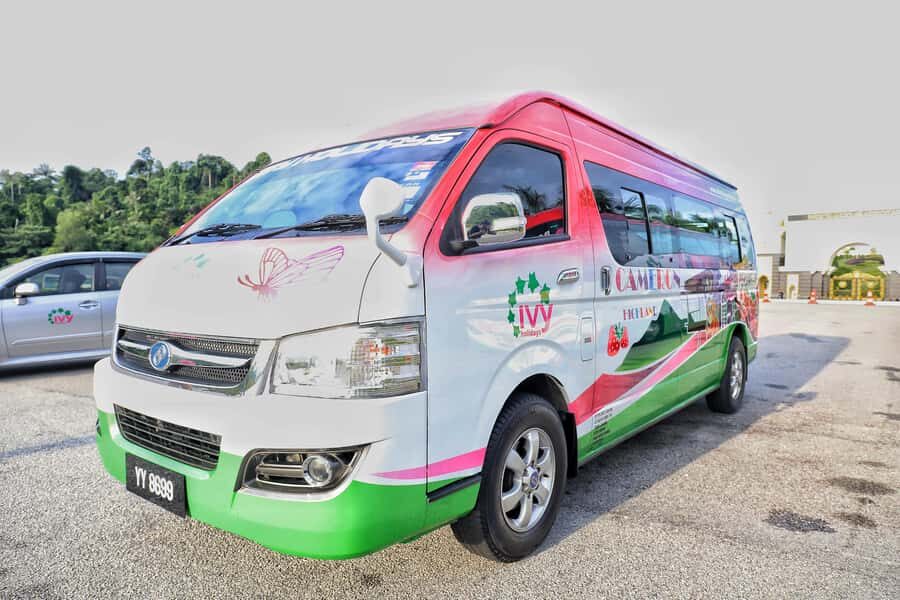 Kuala Lumpur: Sightseeing by Private Vehicle with Driver - Price and group size: when $81 per group up to 7 is good value