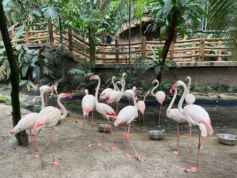 Kuala Lumpur: Sunway Lagoon Ticket & 1-Way Transfer - Getting From Kuala Lumpur To Sunway Without the Headache