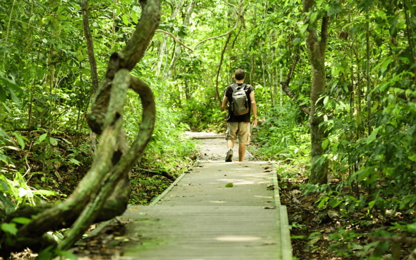 Kuala Lumpur: Taman Negara National Park Teras Waterfall - Tahan River cruise: wildlife time at a calmer pace