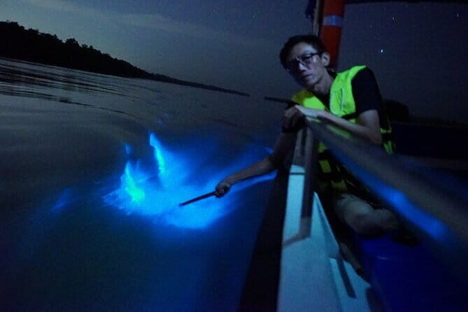 Kuala Selangor Fireflies and Blue Tears Tour with Dinner (SIC) - Why Kuala Selangor’s night show feels so special