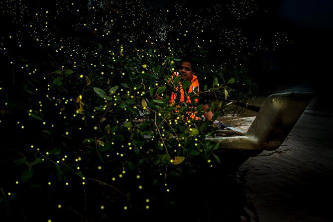 Kuala Selangor Fireflies - Batu Caves Temple- Malawati Hill DayTour With Dinner - 272 Steps, Temple Smells, and Photo-Time Reality at Batu Caves