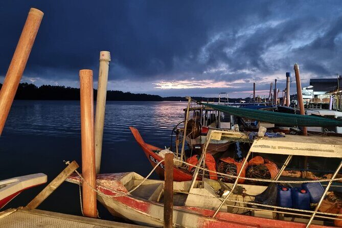 Kuala Selangor Fireflies Tour with Fort Altingsburg & Dinner - Small Group and Private Transportation: Comfortable, Not Luxury