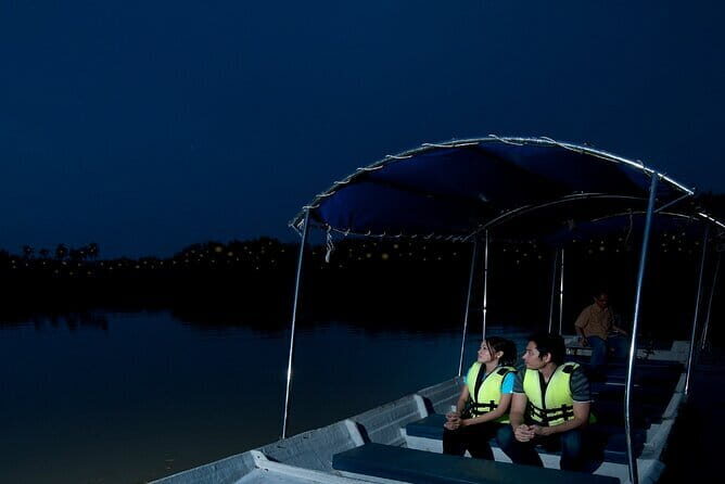 Kuala Selangor Firefly Blinkings Private Tour with Seafood Dinner - Key Points Before You Go