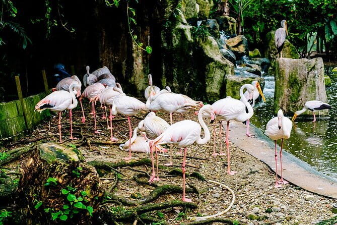 Kuala Selangor Sky Mirror Experience – Natural Mirror Beach Tour - What to expect at each step of the day