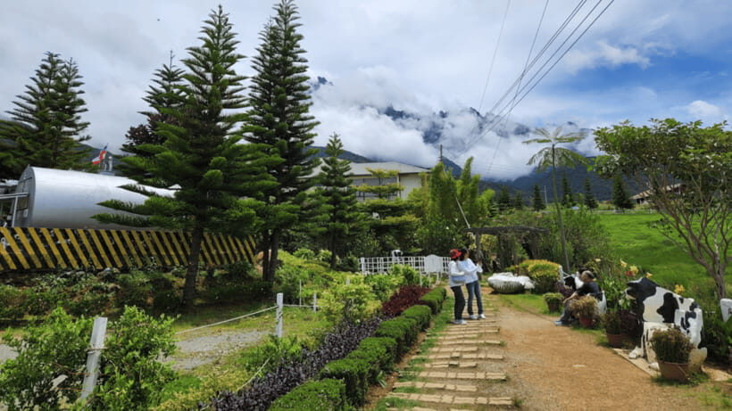 Kundasang: Day Tour with Desa Dairy Farm and Alpaca Club - What to bring for Kundasang weather and mountain stops