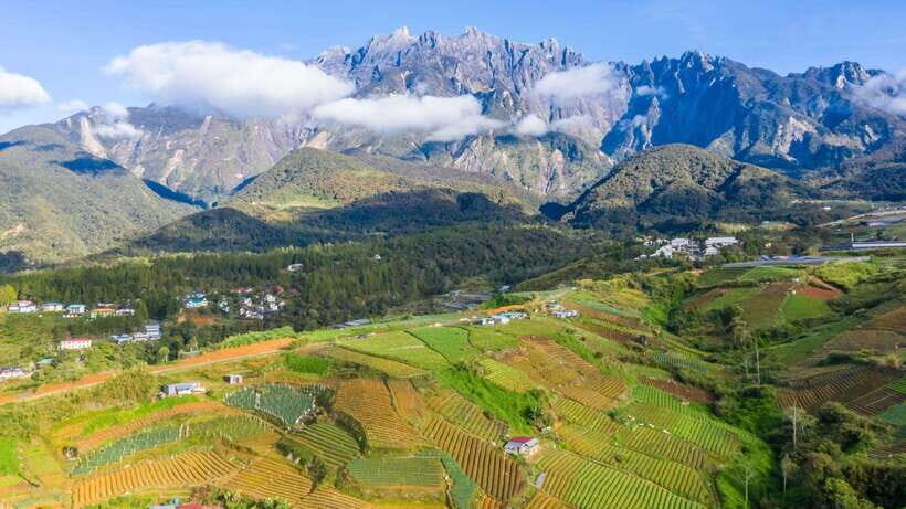 Kundasang: Day Tour with Desa Dairy Farm and Alpaca Club - From hotel pickup to Rumah Terbalik’s upside-down charm