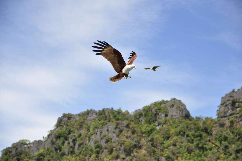 Langkawi: 6-Hour Private Island Highlights Tour - How The 6-Hour Private Format Works (And Why It Feels Less Rushed)