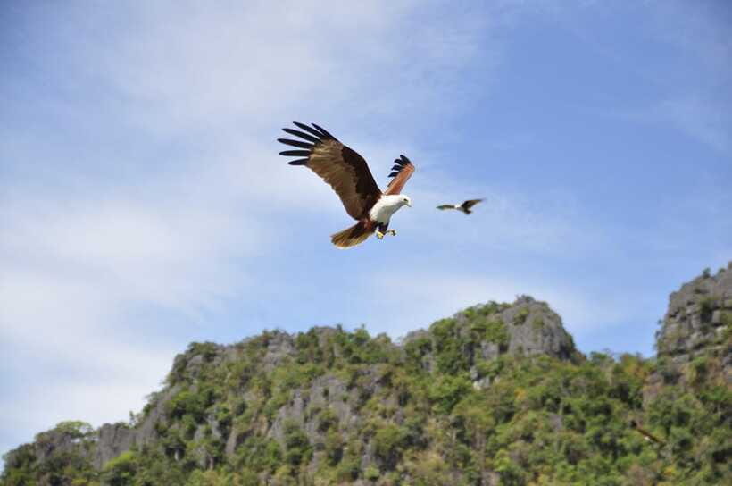 Langkawi: 6-Hour Private Island Highlights Tour - Seven Wells Waterfall and Pools: A Slower Nature Reset