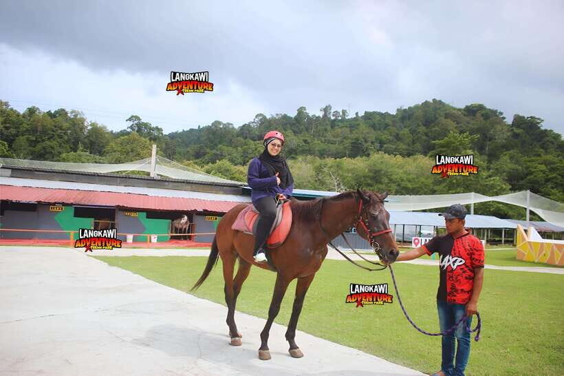 Langkawi: Adventure & Xtreme Park Ticket - How Your Day Flows: Adventure Slot, Then Mangrove River Cruise