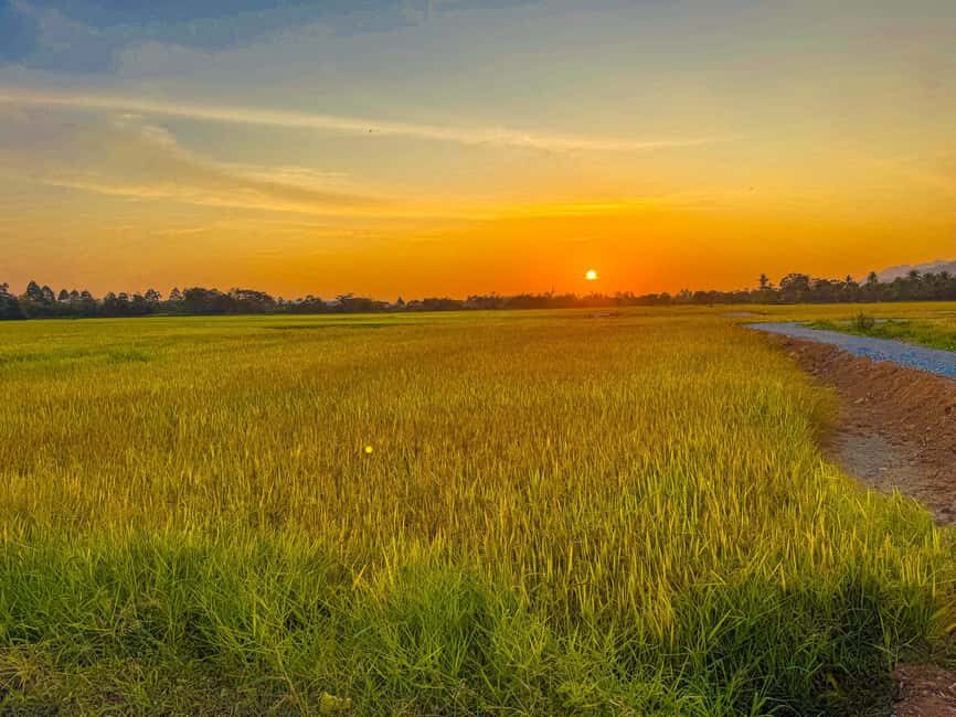 Langkawi ATV Hilltop Golden Hour - Key highlights you’ll care about