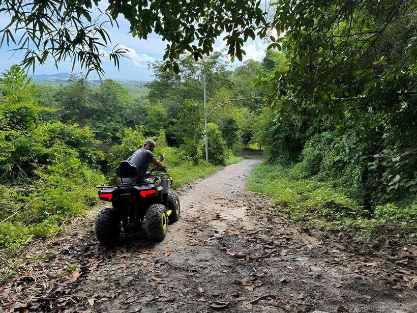 Langkawi ATV Mountain, Jungle and Waterfall - Paddy field views: a breather with actual scenery value